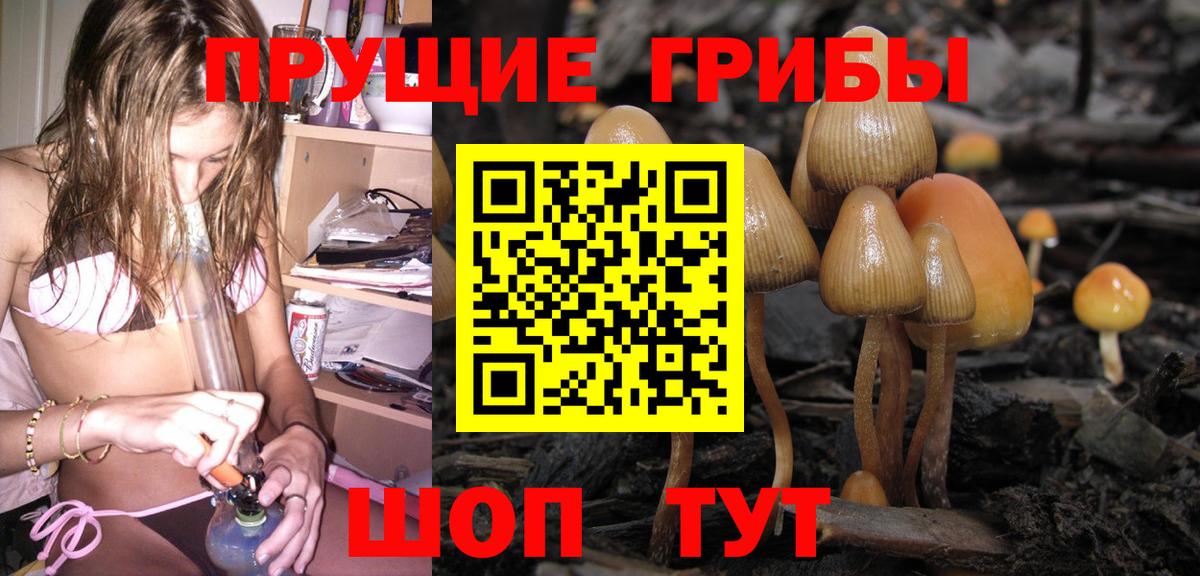 Златоуст  Галлюциногенные грибы Magic Shrooms  Псилоцибиновые грибы Magic Shrooms  Вход с VPN 